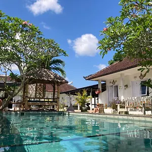 https://buffalo-surfcamp.hotelsseminyak.net